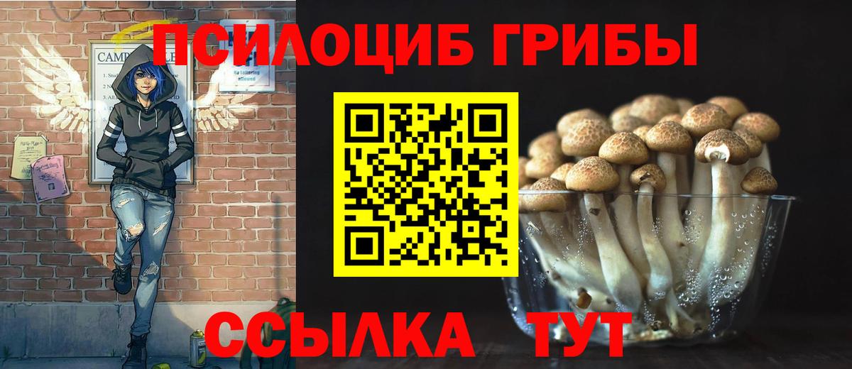 Псилоцибиновые грибы Cubensis Альметьевск